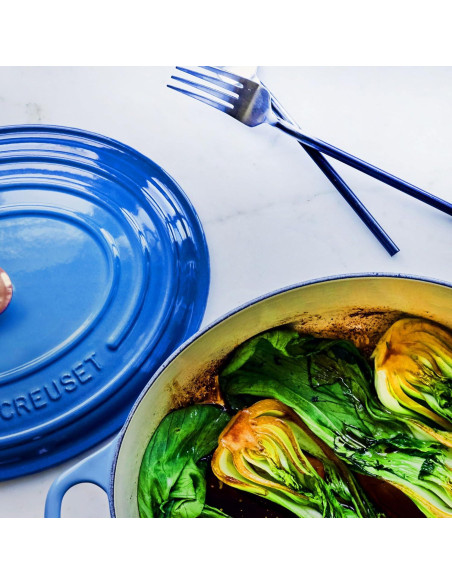 Olla Holandesa Ovalada Le Creuset 8 Cuartos Hierro Fundido Marseille
