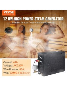 Generador de Vapor VEVOR 12kW con Control de Temperatura y Temporizador 2