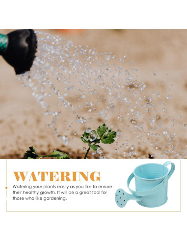 Regadera Infantil de Metal DOITOOL 5PCS 15x7.5cm Estilo Mixto