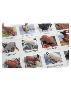 Juego de Coincidencia de Animales Silvestres Montessori - Curious Minds