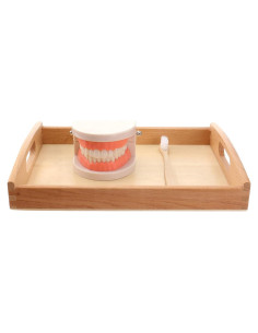 Set Montessori de Cepillado de Dientes STOBOK para Niños