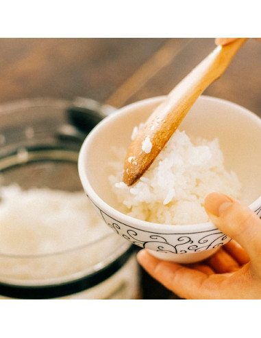 Olla de Arroz HARIO XRCN-2-B de Vidrio para Microondas 1-2 Tazas