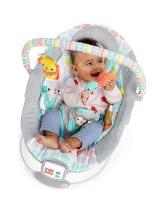 Asiento oscilante para bebé Bright Starts Comfy 0-6 meses 2
