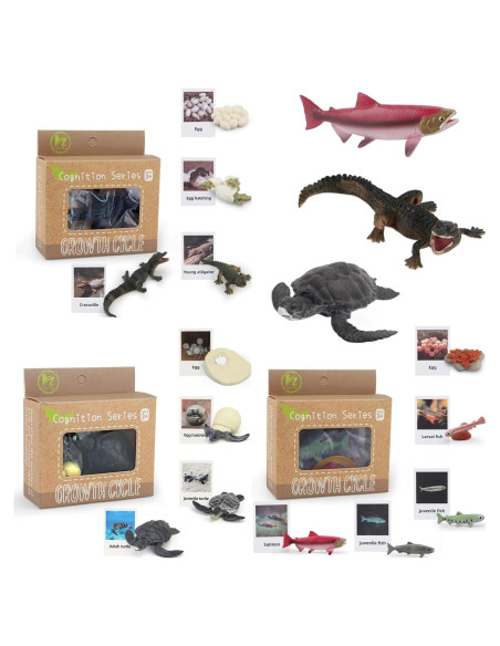 Figuras de Ciclo de Vida de Animales Montessori MIKNEKE