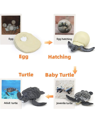 Figuras de Ciclo de Vida de Animales Montessori MIKNEKE