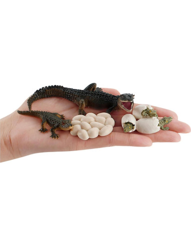 Figuras de Ciclo de Vida de Animales Montessori MIKNEKE