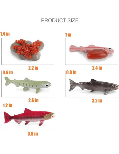 Figuras de Ciclo de Vida de Animales Montessori MIKNEKE