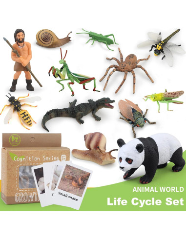 Figuras de Ciclo de Vida de Animales Montessori MIKNEKE