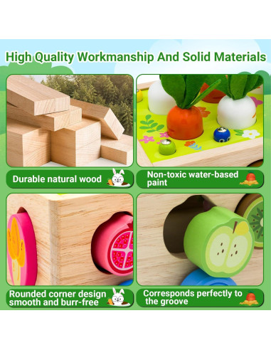 Clasificador de Formas de Madera Montessori MEGRANATE 24x17cm