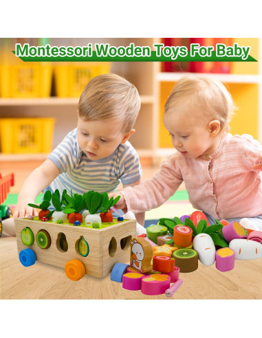 Clasificador de Formas de Madera Montessori MEGRANATE 24x17cm