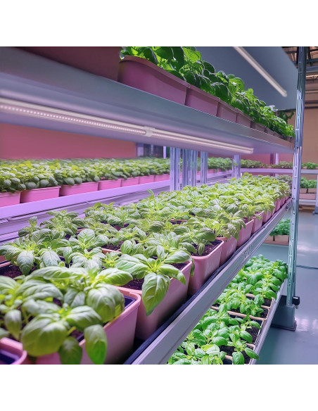 Lámpara LED de Crecimiento Barrina 4FT Espectro Completo 252W