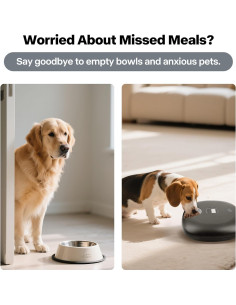 Comedero Automático Recargable AFP 5709 para Mascotas 1.93 kg 2