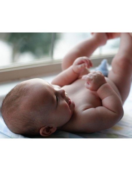 Pee-Pee Teepee Beba Bean Verde Selva - 5 Unidades