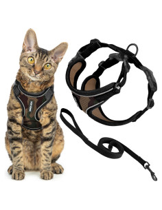 Arnés y Correa para Gato Voyager Best Pet Supplies - XXS, Reflectante