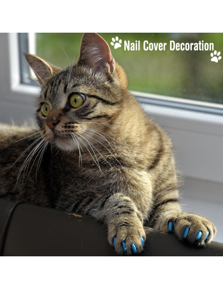 Set de Aseo para Gatos 10 Piezas Kritkin - Bolsa de Baño y Herramientas