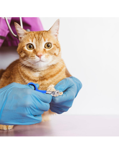 Set de Aseo para Gatos 10 Piezas Kritkin - Bolsa de Baño y Herramientas