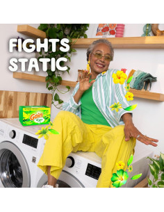 Hojas para Secadora Gain Aroma Original 240 Unidades 2