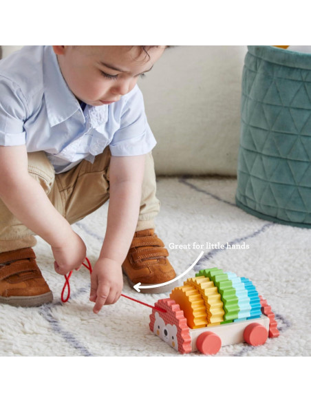 Juguete de arrastre de madera erizo arcoíris Petit Collage