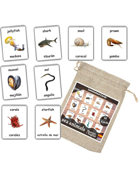 Tarjetas de Flash Laminadas Animales Marinos - 26 Piezas Bilingües