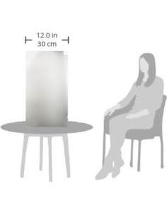 Filtro de Privacidad ViewSonic VSPF2360 58.4x37.5cm Antirreflejo 2