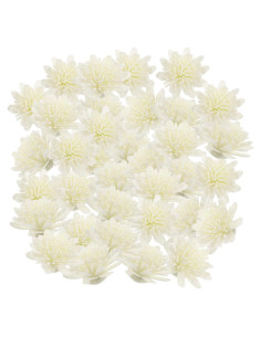 100 Flores Difusoras de Aroma WOFASHPURET - Rosa Blanca 5x5cm