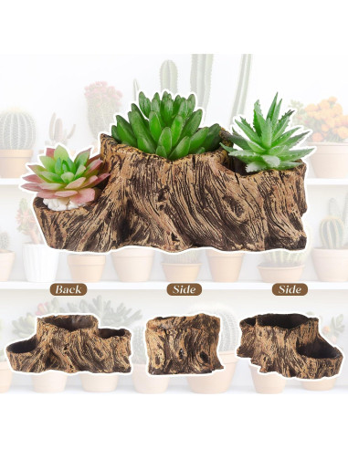 3 Macetas de Concreto Retro Sunnychicc para Suculentas