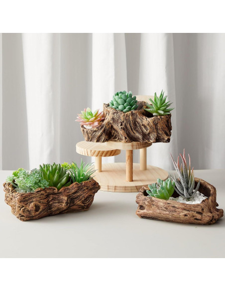 3 Macetas de Concreto Retro Sunnychicc para Suculentas 3 Macetas de Concreto Retro Sunnychicc para Suculentas