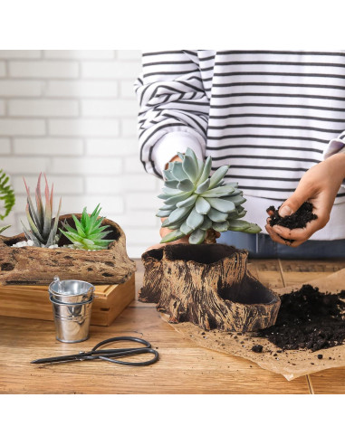 3 Macetas de Concreto Retro Sunnychicc para Suculentas