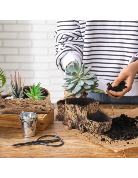 3 Macetas de Concreto Retro Sunnychicc para Suculentas 3 Macetas de Concreto Retro Sunnychicc para Suculentas