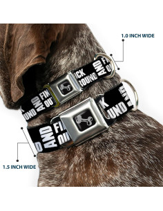 Collar de Perro de Cinturón de Seguridad Buckle-Down 38-66 cm 2