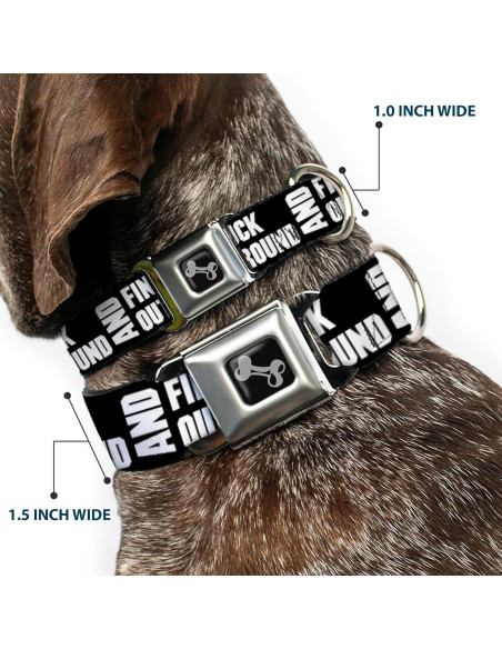 Collar de Perro de Cinturón de Seguridad Buckle-Down 38-66 cm
