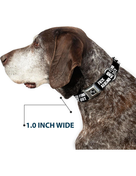 Collar de Perro de Cinturón de Seguridad Buckle-Down 38-66 cm