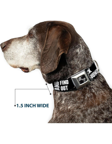 Collar de Perro de Cinturón de Seguridad Buckle-Down 38-66 cm