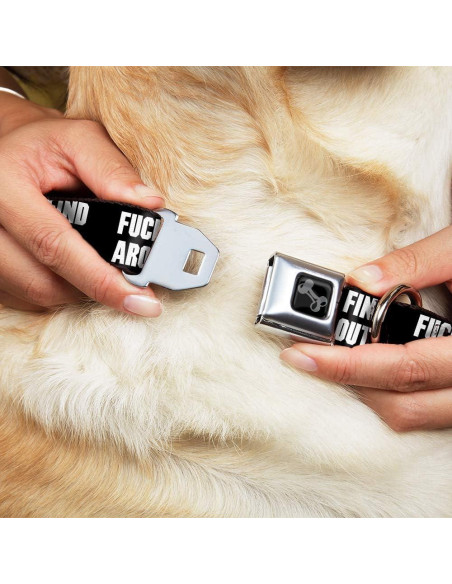 Collar de Perro de Cinturón de Seguridad Buckle-Down 38-66 cm