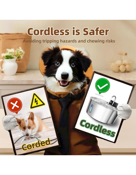 Fuente de Agua Automática para Perros CITIZILI 7L Acero Inoxidable Fuente de Agua Automática para Perros CITIZILI 7L Acero Inoxidable