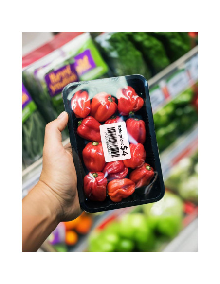 Impresora de Etiquetas Ponek M260 Bluetooth 72mm Térmica