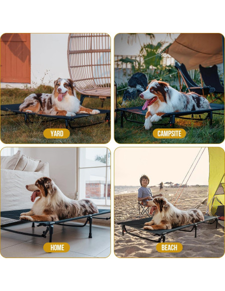 Cama Elevada para Perros OneTigris Mediana Negra, Antideslizante