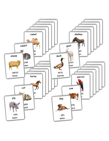 Tarjetas Didácticas Bilingües Hebreo-Inglés - Animales de Granja