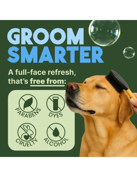 Champú Seco Hipoalergénico TropiClean Coco 209.79g para Perros y Gatos