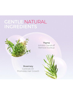 Champú en Polvo Anticaspa TYMO 99.2 g + Spray Aceite Argán 600 ml 2