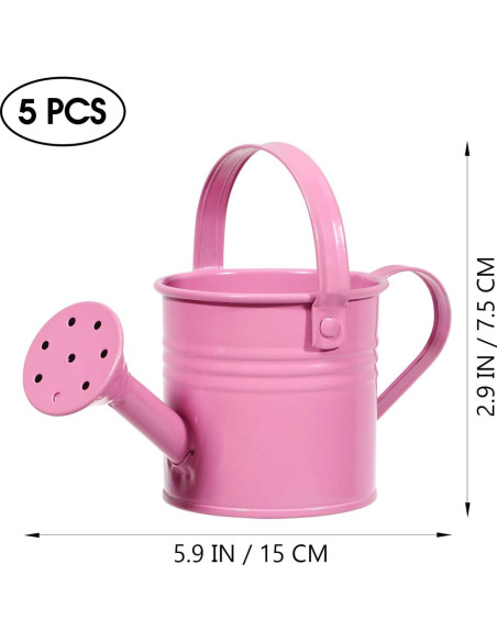 5PCS Regaderas de Metal DOITOOL para Plantas - 15x7.5cm