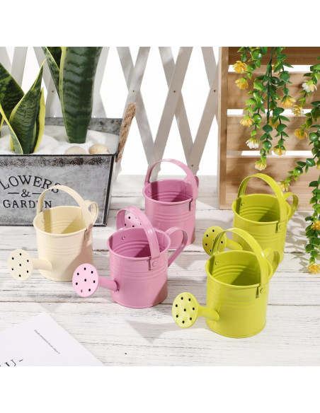 5PCS Regaderas de Metal DOITOOL para Plantas - 15x7.5cm