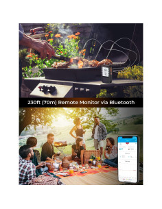 Termómetro de Carne Bluetooth Govee H5055 con 2 Probetas 2