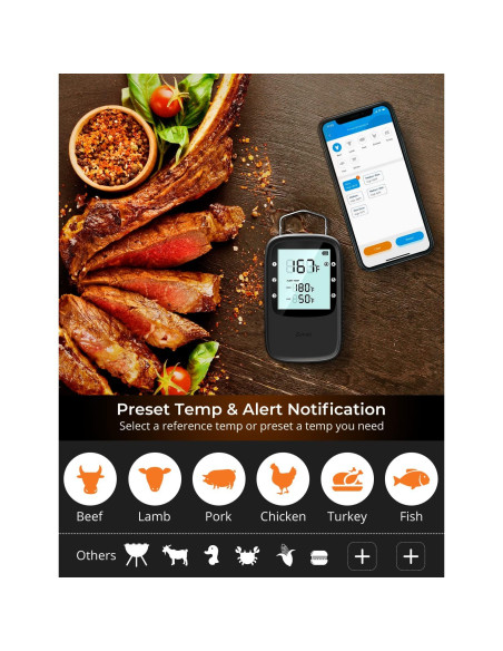 Termómetro de Carne Bluetooth Govee H5055 con 2 Probetas