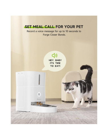 Fuente de Agua para Gatos 4.5L + Comedero Automático APETDOLA