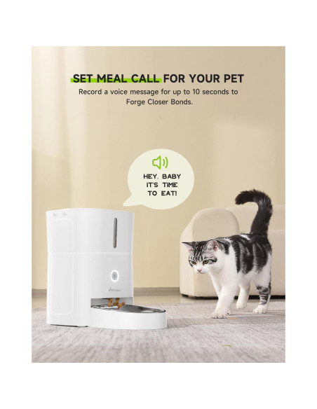 Fuente de Agua para Gatos 4.5L + Comedero Automático APETDOLA