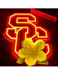 Luz de Neón LED AHlove Trojans 40.9x28.4cm Decoración 2