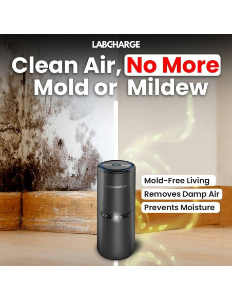 Purificador de Aire Iónico LabCharge - Compacto 23.2 m - Sin Filtro