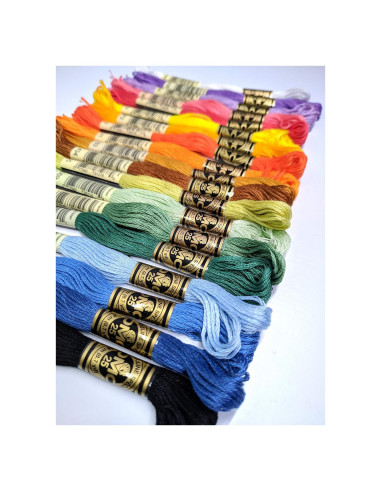 Juego de Hilos de Bordado de Algodón DMC 447 Tonos 8m