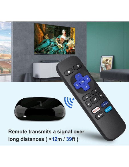 Pack de 2 Controles Remotos OMAIC para Roku Box y Player Pack de 2 Controles Remotos OMAIC para Roku Box y Player